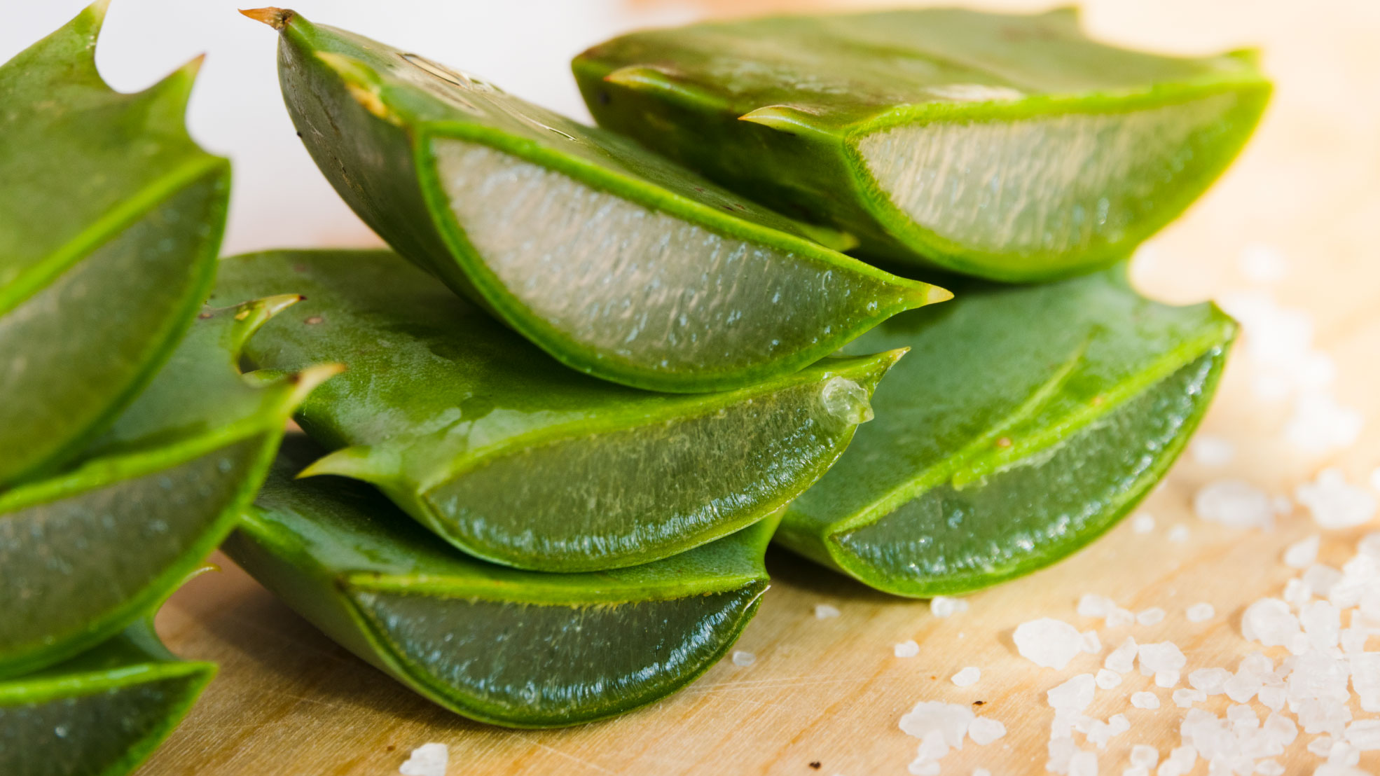 Different types of aloe vera plant - Verdeaurora