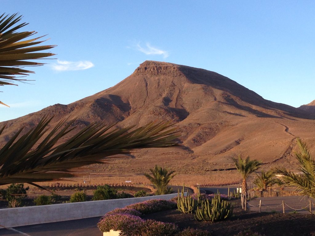 Finca de Olivos Fuerteventura