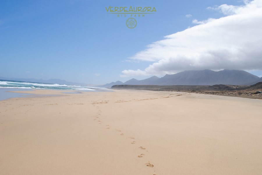 playa fuerteventura min