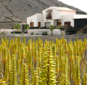 Finca Aloe Finca Aloe